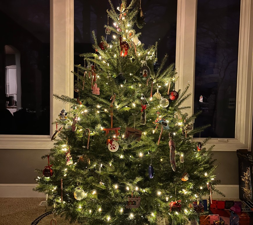 A decorated Christmas tree with white lights and a star on top sits in a dim room with windows in the background.